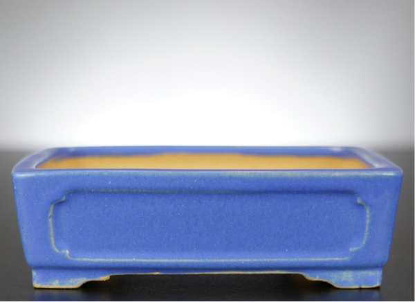 Bonsai Schale Shibakatsu Tokoname 15,5x12x5