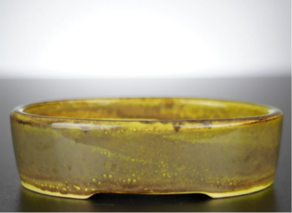 Bonsai Schale J-B Edition 13x10x3,5