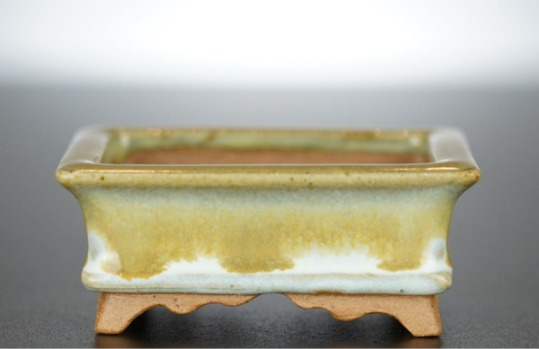 Bonsai Schale Arima Matsuun Tokoname Japan 8,5x7x3,5