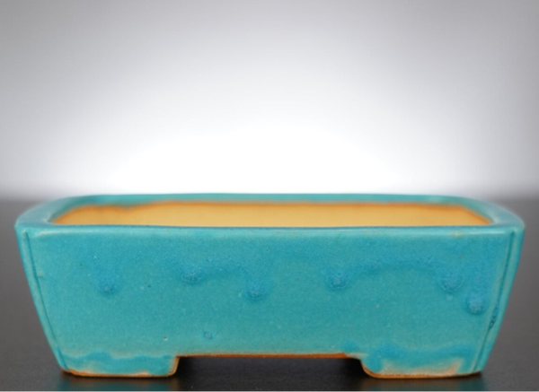 Bonsai Schale Shibakatsu Tokoname 16x13x4,5