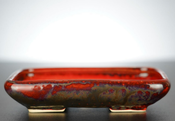 Bonsai Schale J-B Edition 17x14x3,5