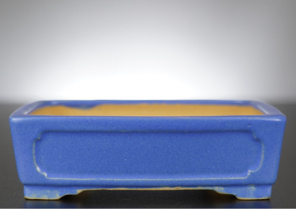 Bonsai Schale Shibakatsu Tokoname 15,5x12x5