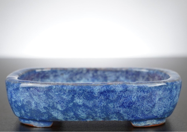 Bonsai Schale Shuhou Tokoname Japan 15,5x12x4