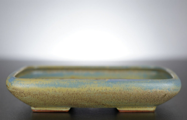 Bonsai Schale J-B Edition 17x14x3,5