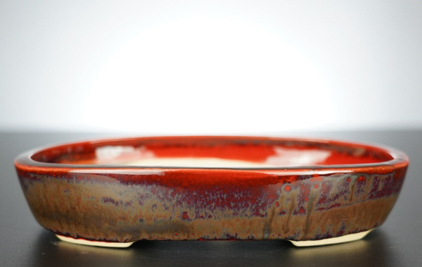 Bonsai Schale J-B Edition 22,5x17x4