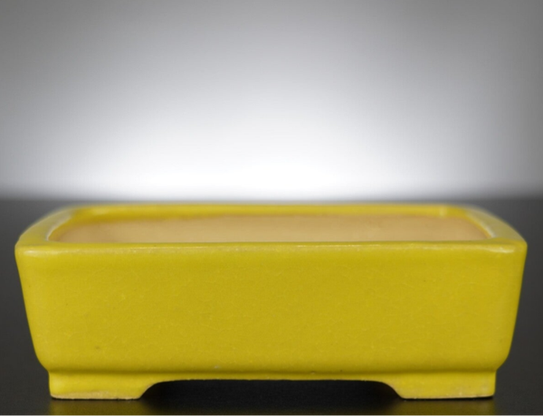 Bonsai Schale Shibakatsu Tokoname 16x12x5