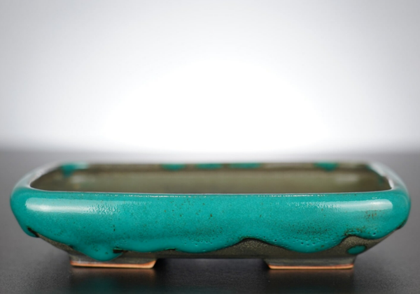 Bonsai Schale J-B Edition 17x14x3,5