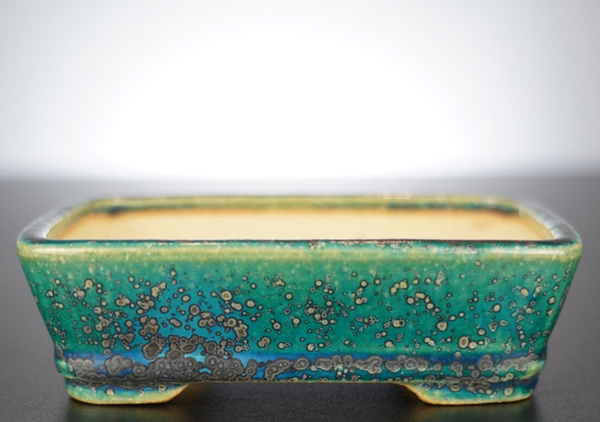 Bonsai Schale Koyo Tokoname Japan 14x11x4