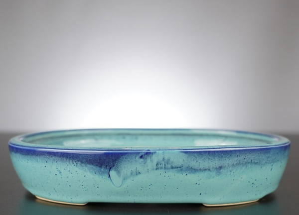 Bonsai Schale J-B Edition 23x17,5x4,5