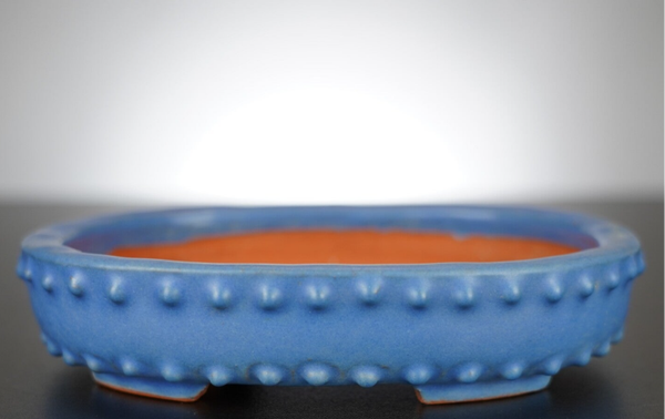 Bonsai Schale Shuhou Tokoname Japan 19,5x16x4