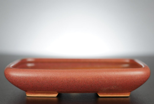 Bonsai Schale J-B Edition 17x14x3,5