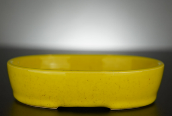 Bonsai Schale J-B Edition 17,5x14x4