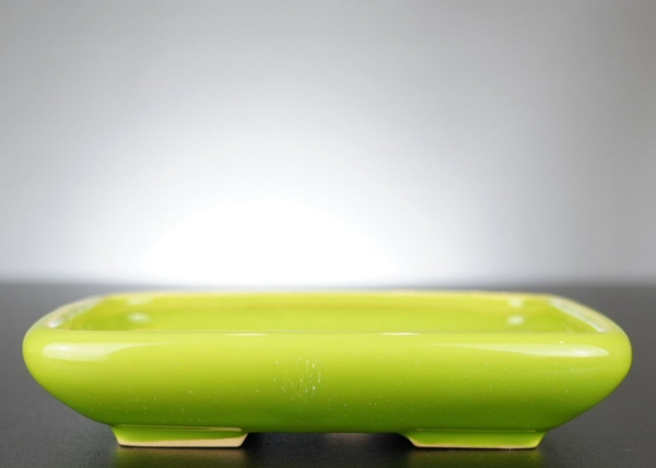 Bonsai Schale J-B Edition 17x14x3,5