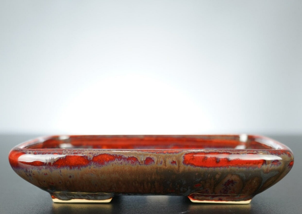 Bonsai Schale J-B Edition 17,5x14x3,5