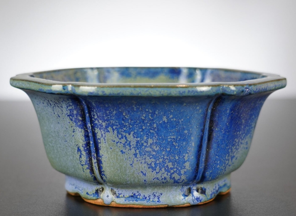 Bonsai Schale Shibakatsu Tokoname 16x16x7