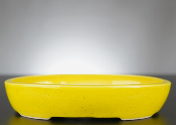 Bonsai Schale J-B Edition 23x17,5x4,5