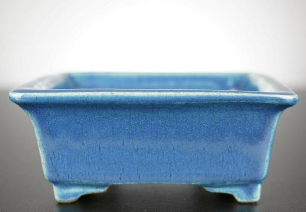 Bonsai Schale Satomi Terahata Tokoname Japan 15x14x6