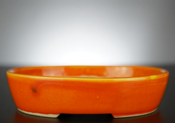 Bonsai Schale J-B Edition 17,5x14,5x4