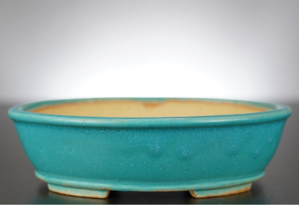 Bonsai Schale Shibakatsu Tokoname 18x15,5x5