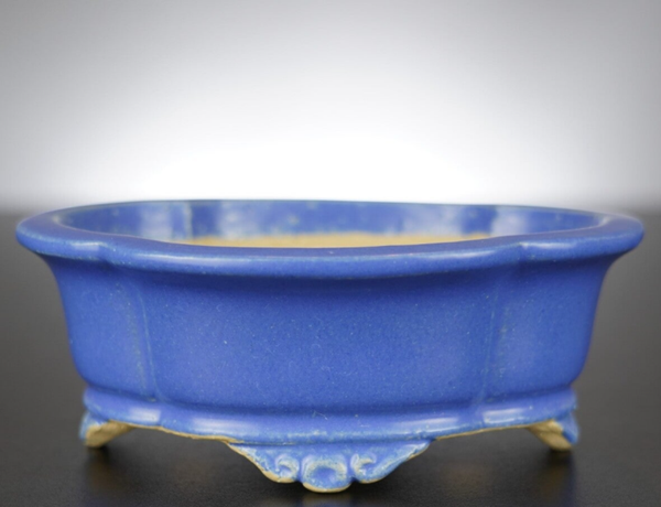 Bonsai Schale Shibakatsu Tokoname 16x13,5x6