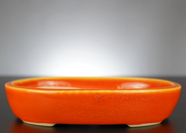 Bonsai Schale J-B Edition 22x17x4,5