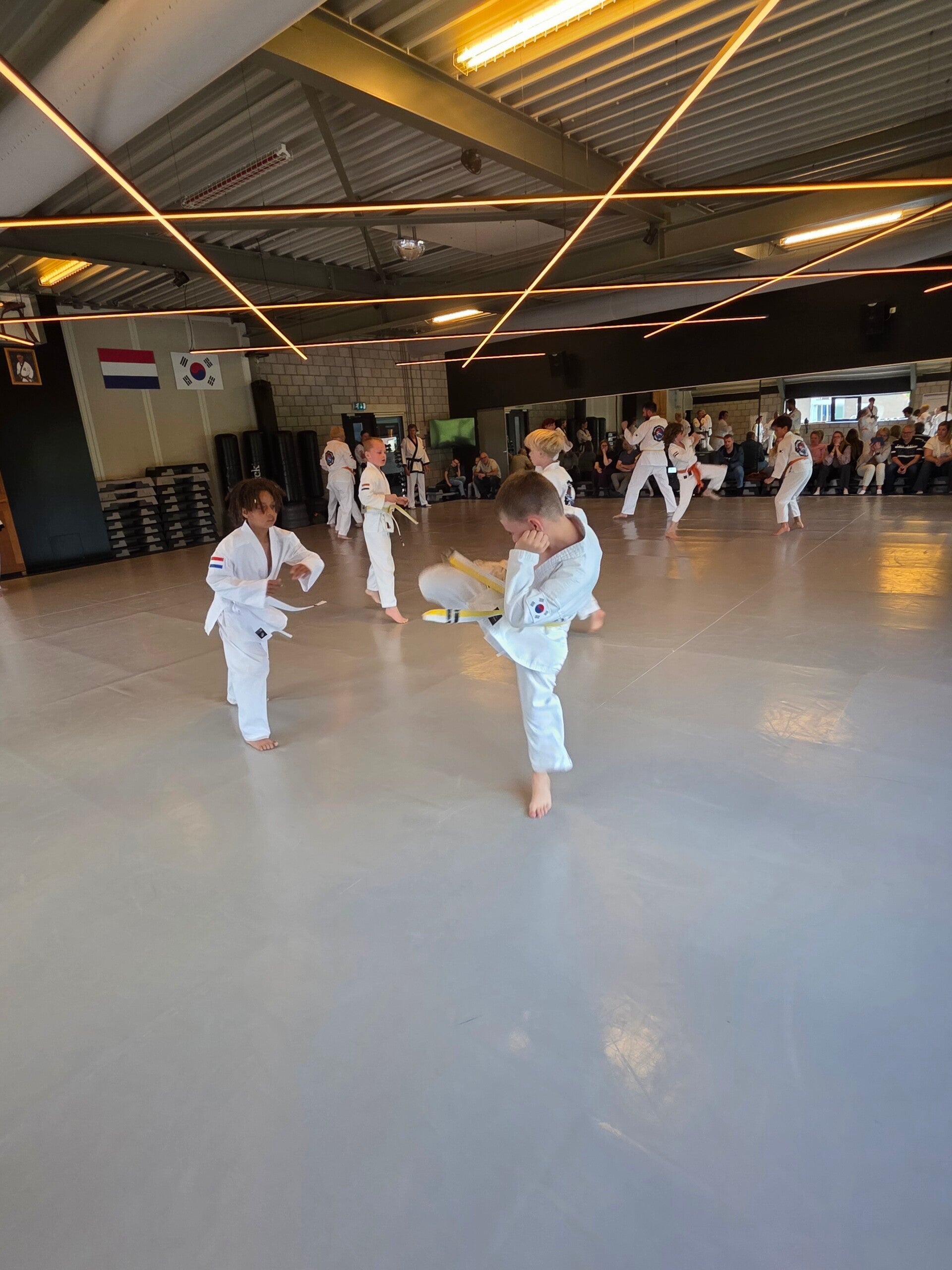 20260613_105240-standard.jpg