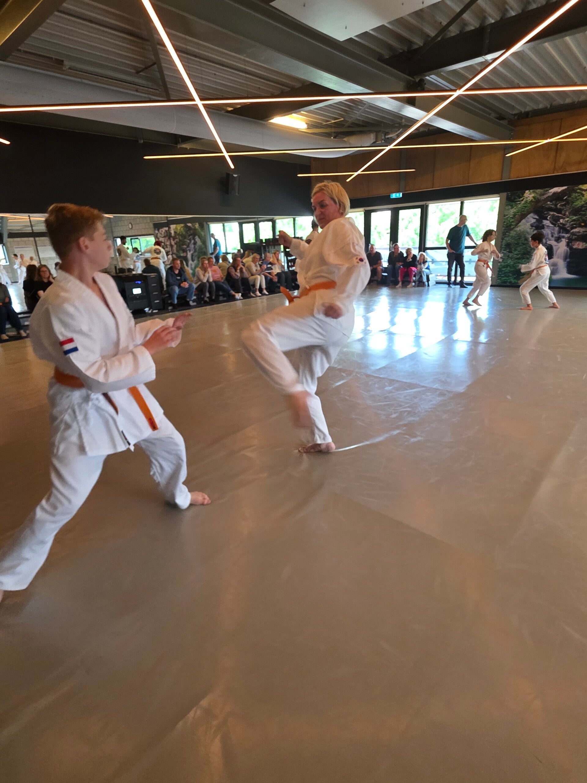 20260613_105310-standard.jpg