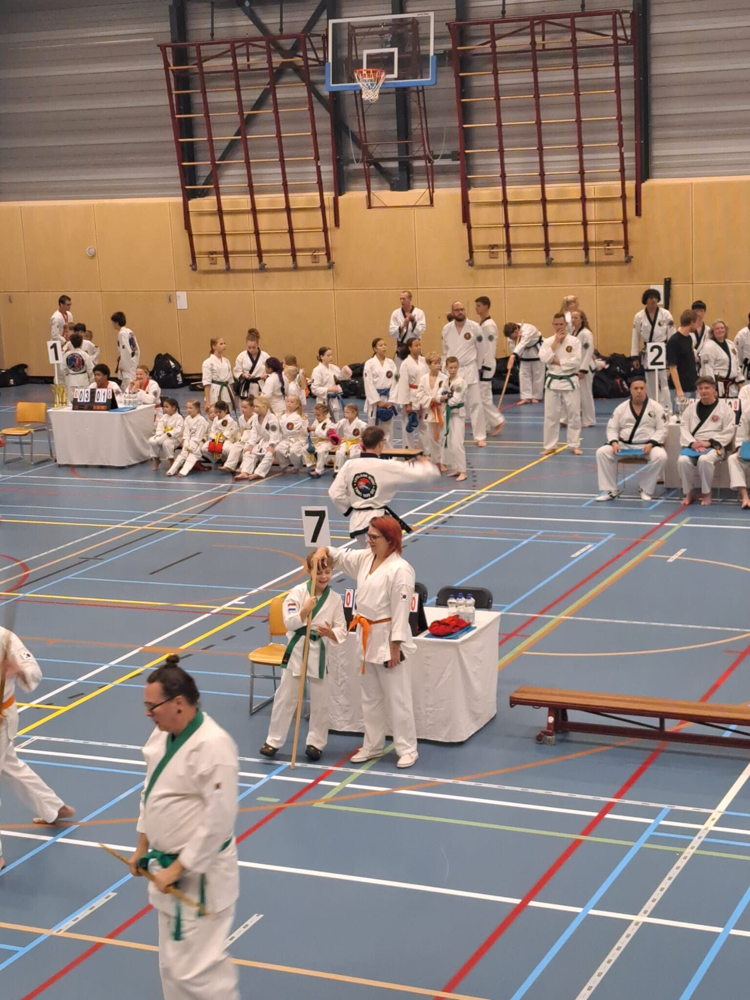 bmtf4913-standard.jpg