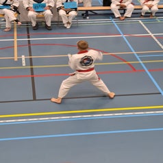 npjf7951-standard.jpg