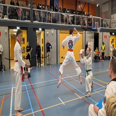 qdjc8235-standard.jpg