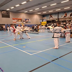 qhjb9872-standard.jpg