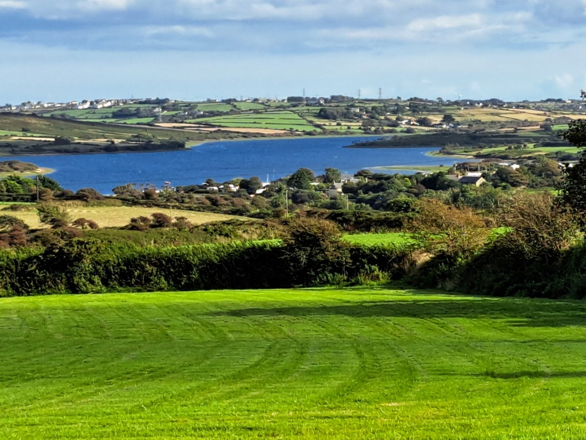 About Home Farm CL site