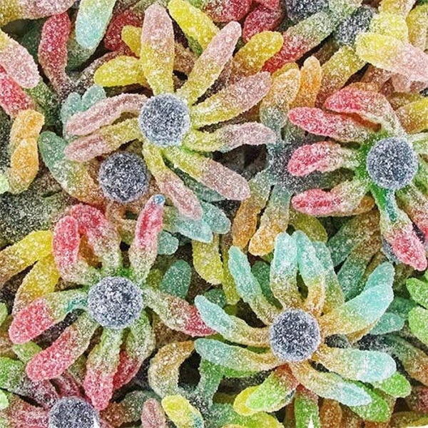 Octopus acide 100gr
