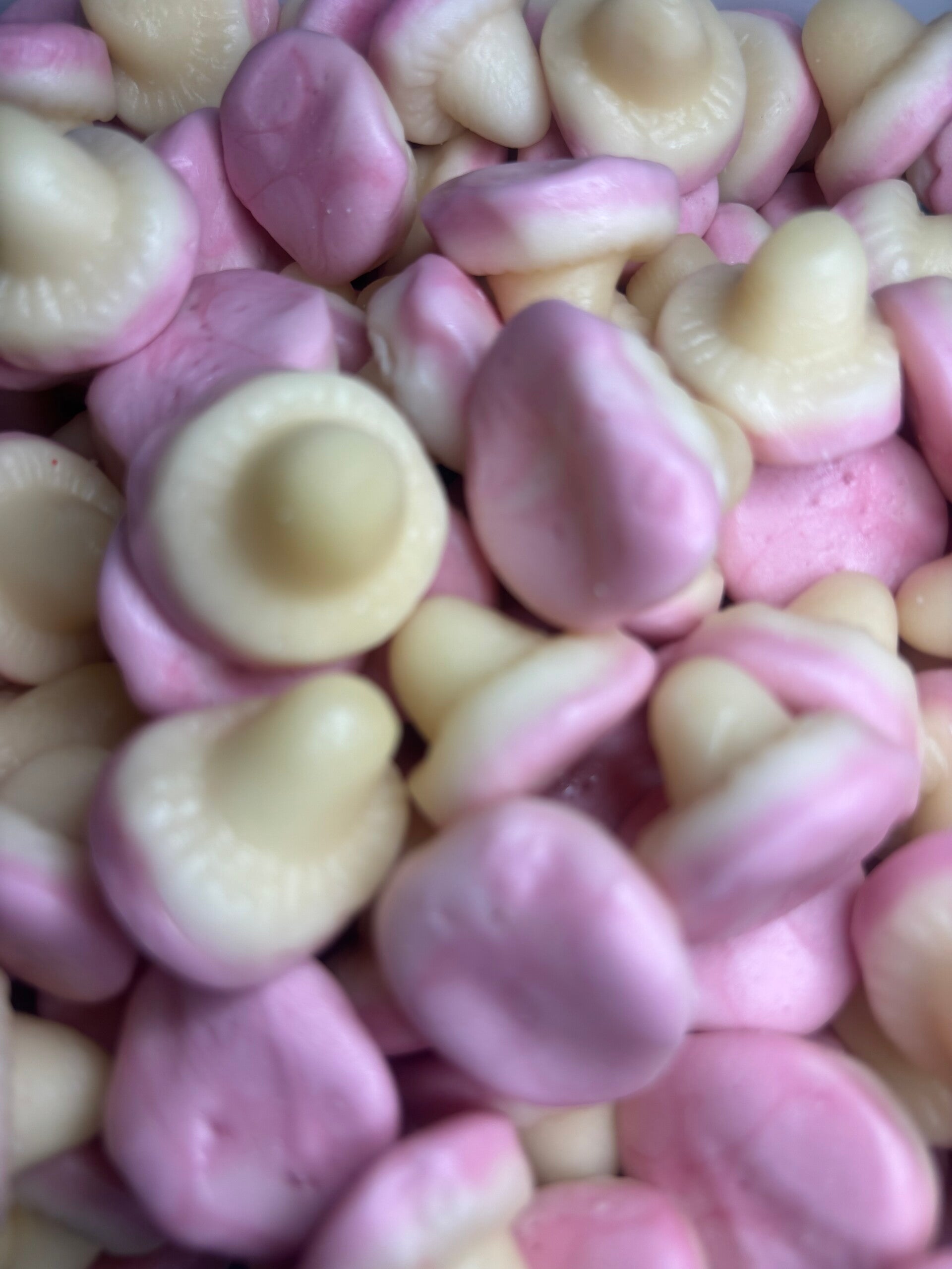 Champignon lisse 100g