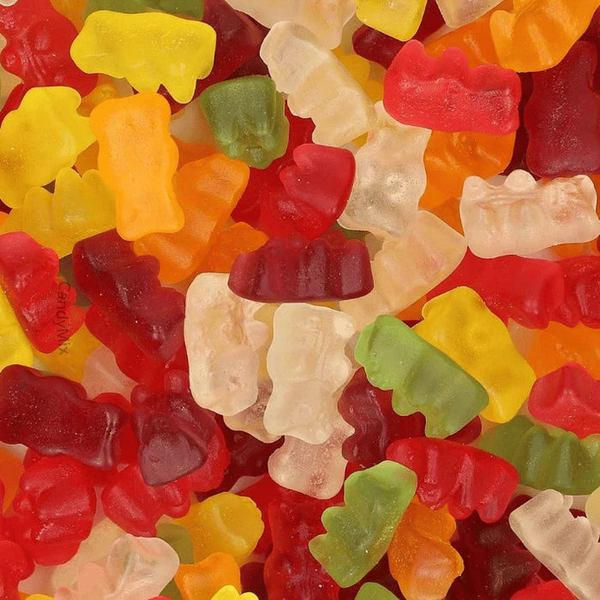 Oursons fruits SANS SUCRE 100g