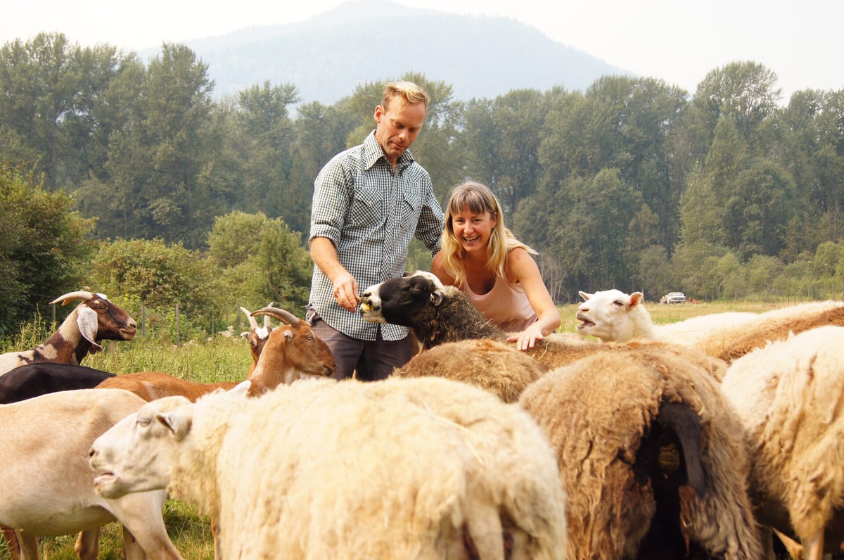 Forrest Farm Sheep and Goat Cheese Creamery