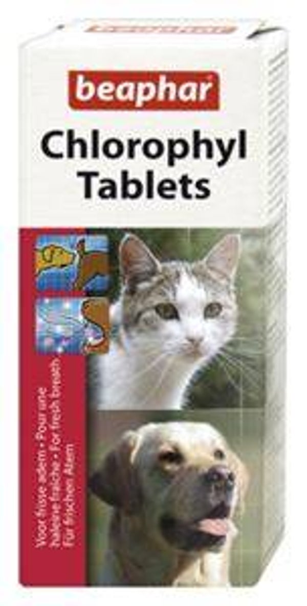 Chlorophyl tabletten 30 Tabletten