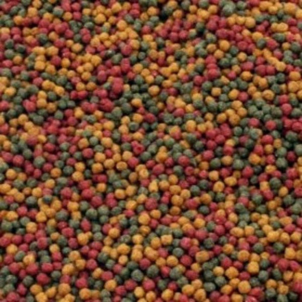 EXCELLENT VIJVERKORRELS 15 KG