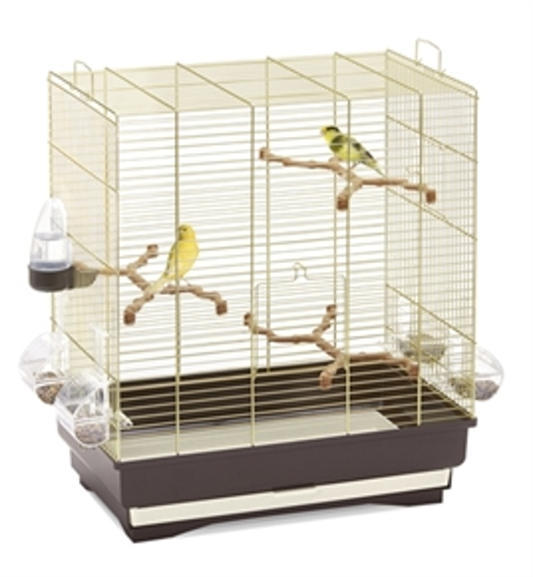 IMAC VOGELKOOI CARLOTTA BRUIN / MESSING 50X30X56 CM