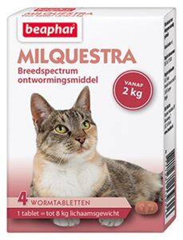 Milquestra Kat 4 tabletten