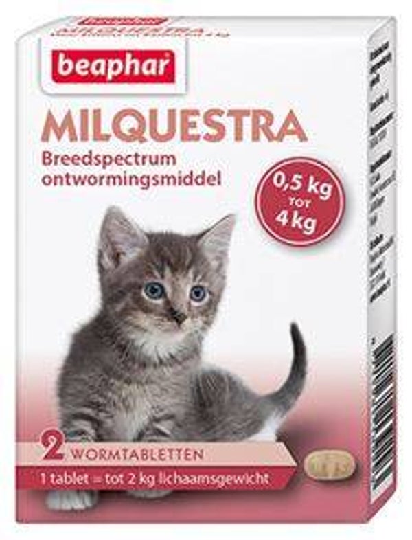 Milquestra Kat Klein en Kitten 2 tabletten