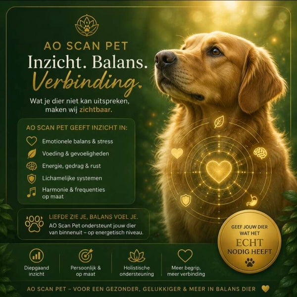 PetScan Maandabonnement: Maandelijks Inzicht voor je Hond