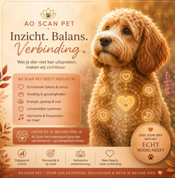 AO Scan voor Honden: Inzicht in wat je hond voelt