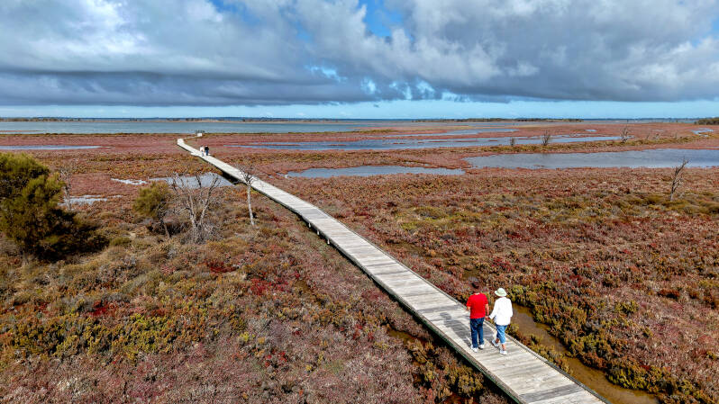 art-wall-creery-wetlands-website-x2500-standard-eln2in.jpg