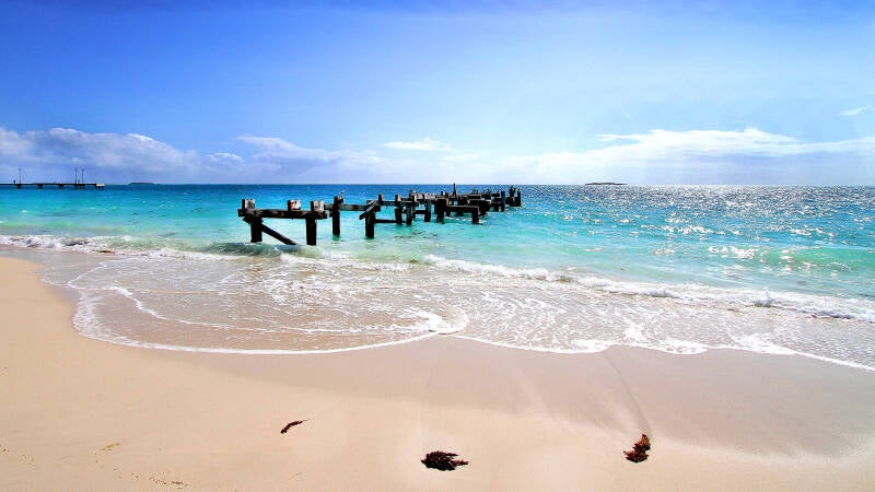 art-wall-jurien-bay-websitex2000-standard-9elj8n.jpg
