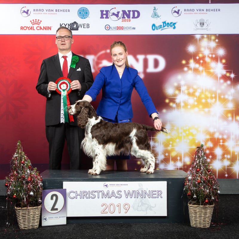 C_891_HR_KERSTWINNER_2019_KYNOWEB_KY3_9037_20191221_16_44_04-1.jpg