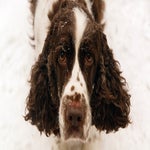 sneeuw2021-40.jpg