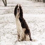 sneeuw2021-89.jpg