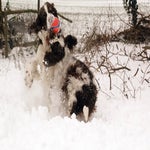sneeuw2021-85.jpg