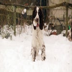 sneeuw2021-31.jpg